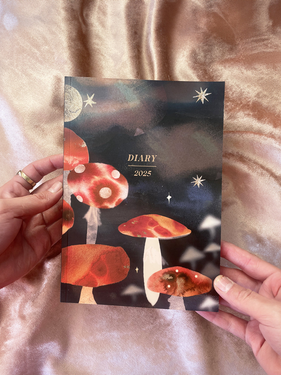 Amanita disco diary 2025