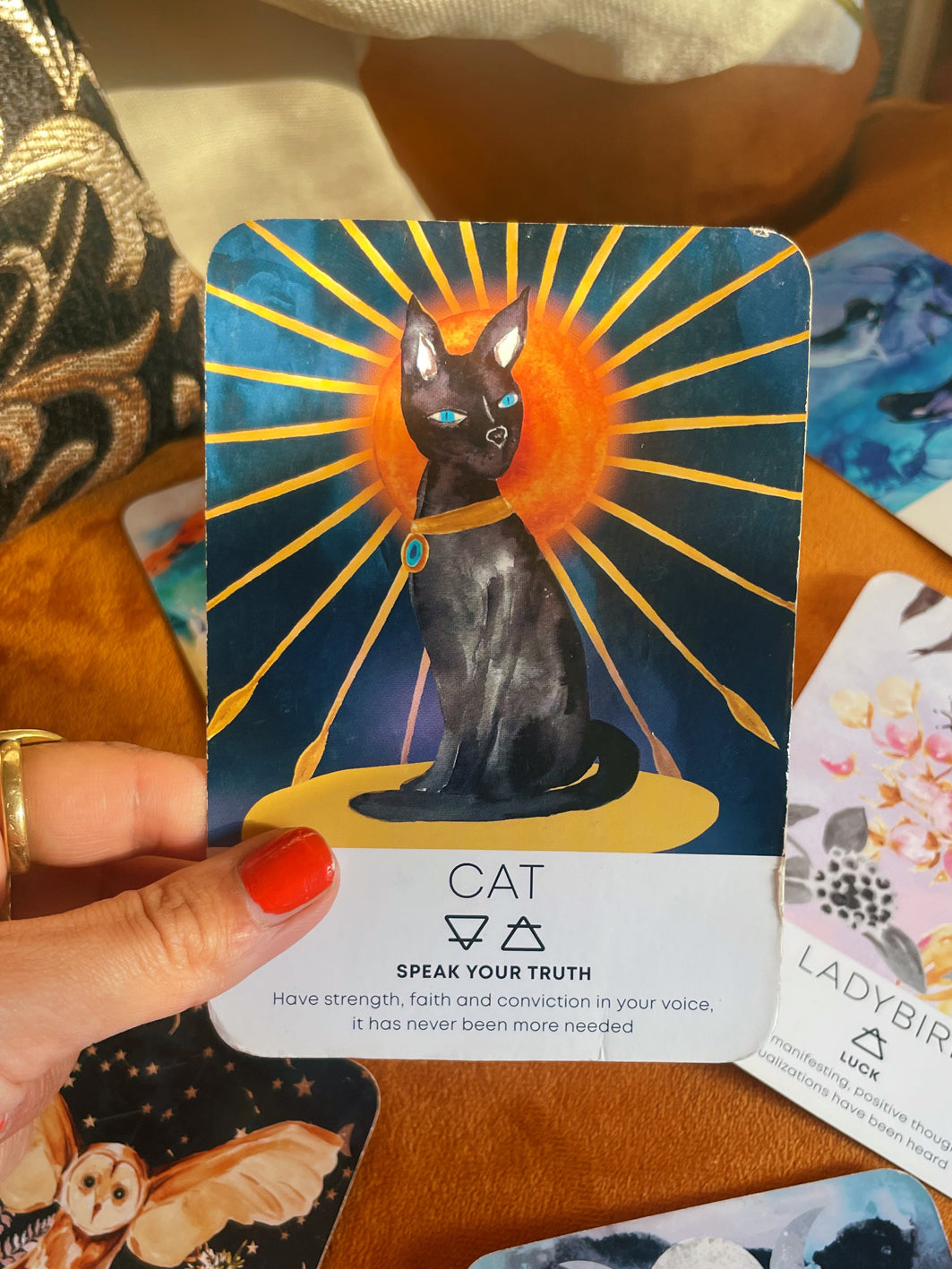 Spirit Animal Wisdom 50 card deck (Katie-Jane Wright X Nikki Strange)
