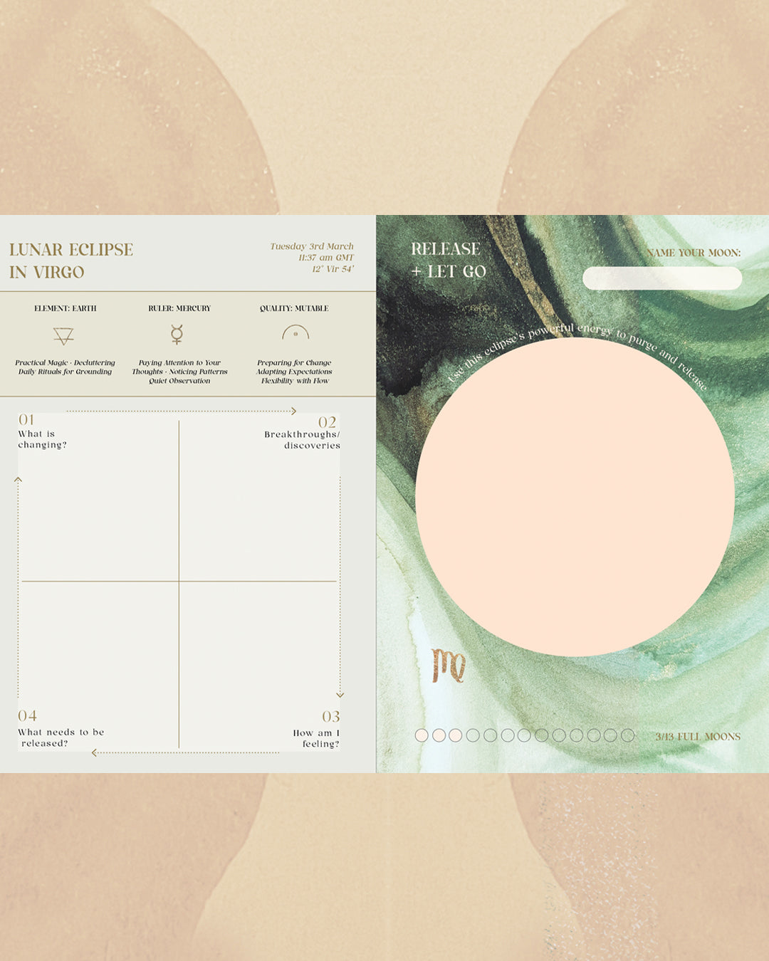PRE ORDER Full Year Moon Diary 2026