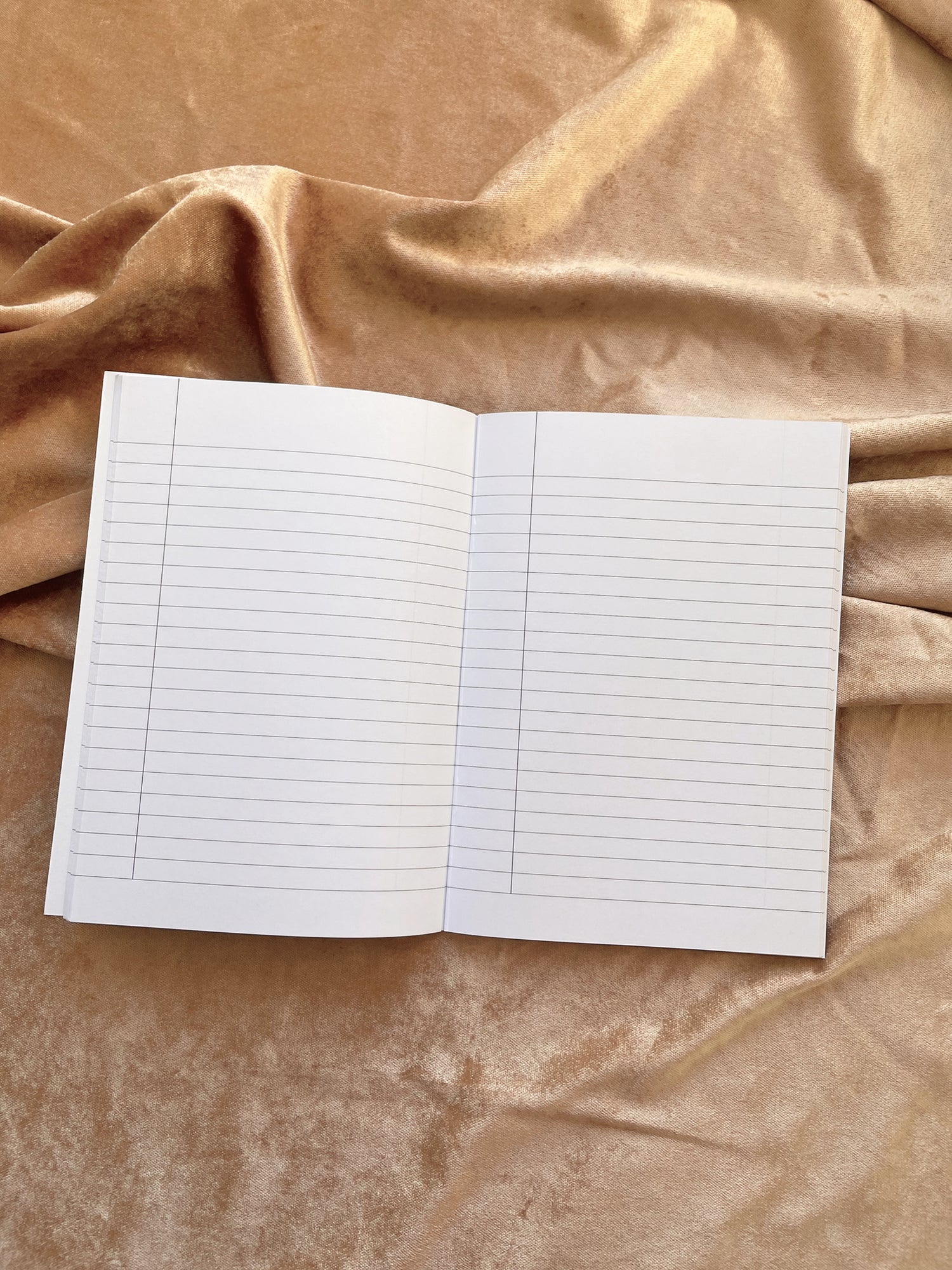 Copper burnt orange mushroom disco notebook
